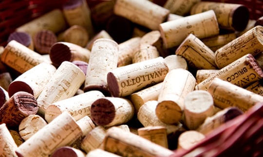 2013 Cavallotto, Barolo, Bricco Boschis