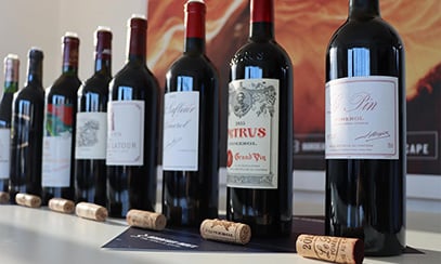Bordeaux Cellar Fundamentals, Image 4, 407x244