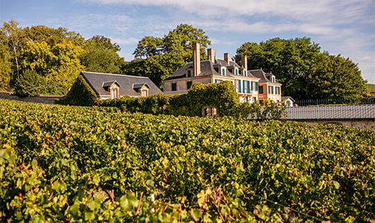 Comtes Rose