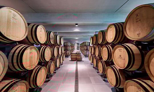 2022 Delas, Condrieu, Clos Boucher