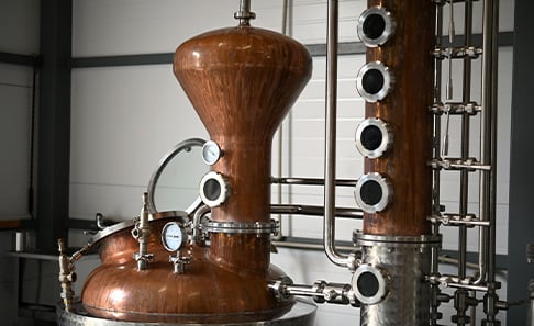 Gin