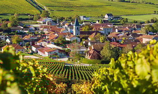 Guide to Champagne - Champagne Village 540x322