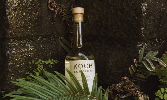 Koch Mezcal