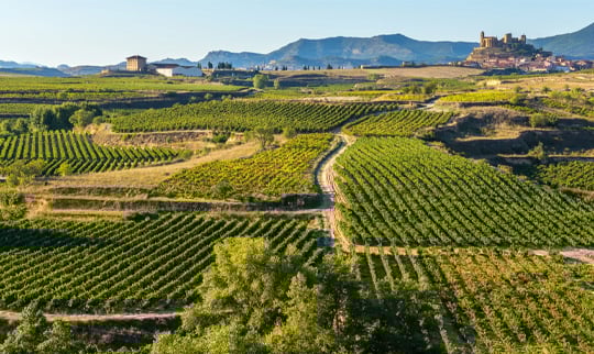 La Rioja Alta Updated