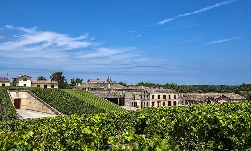 Lafite 812x488