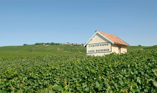 Louis Roederer 2016