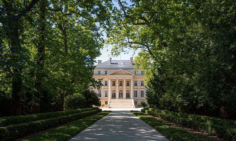Margaux 812x488