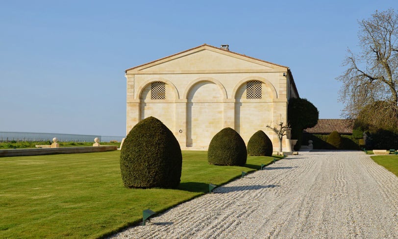 Mouton 812x488