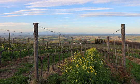 Tuscany DB Blog 540x322