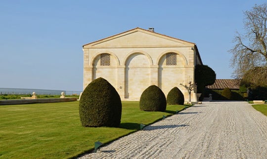 Mouton-540x322