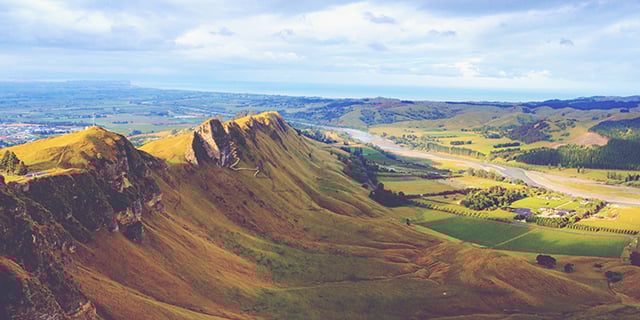 New-Zealand-Guide-Vineyard-Ridge-843x474