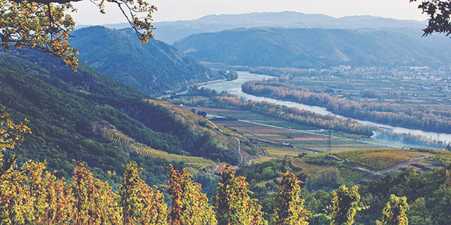 Rhone-843x474