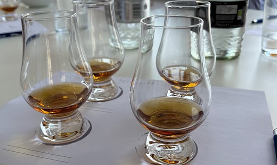 The-Glenrothes-Cover-540