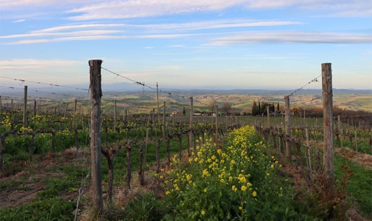 Tuscany-DB-Blog-540x322